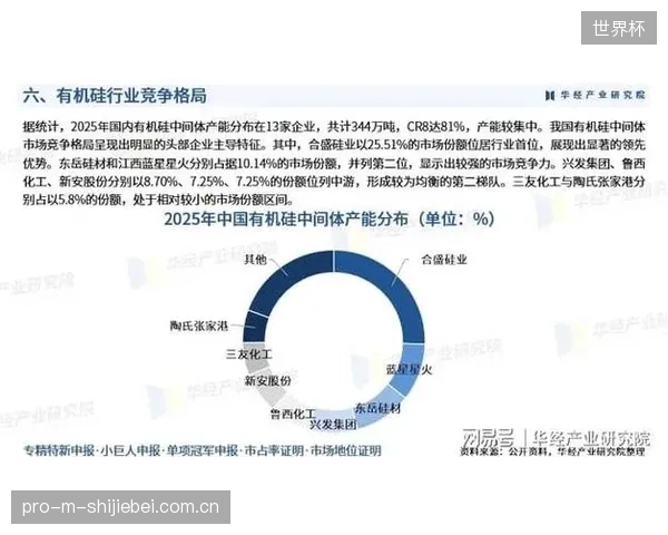 市场数据发声：2026年，国内超过30%的新建大型体育馆已将“硅橡胶二次注塑且经水压仓测试”写入泳池照明招标参数