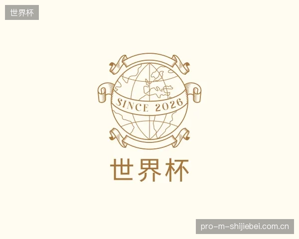 解读世界杯平台